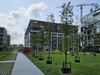 nieuwzuid