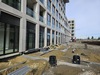 nieuwzuid